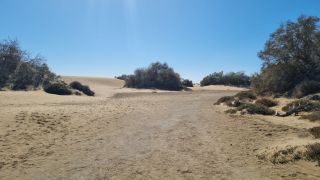 2023-GC--Mapalomas dunas-S123-138.jpg